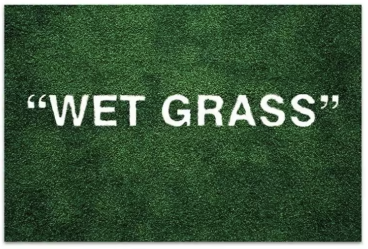 Wet Grass Aesthetic Rug